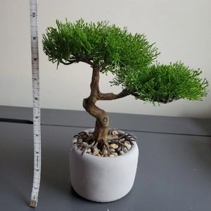 Fake Bonsai Tree